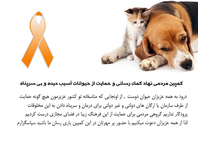 کمپین حمایت از حیوانات آسیب دیده و بى سرپناه