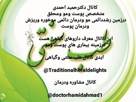 کانال حمید احمدی